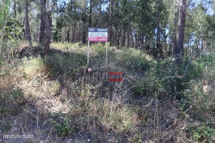 Land Plot