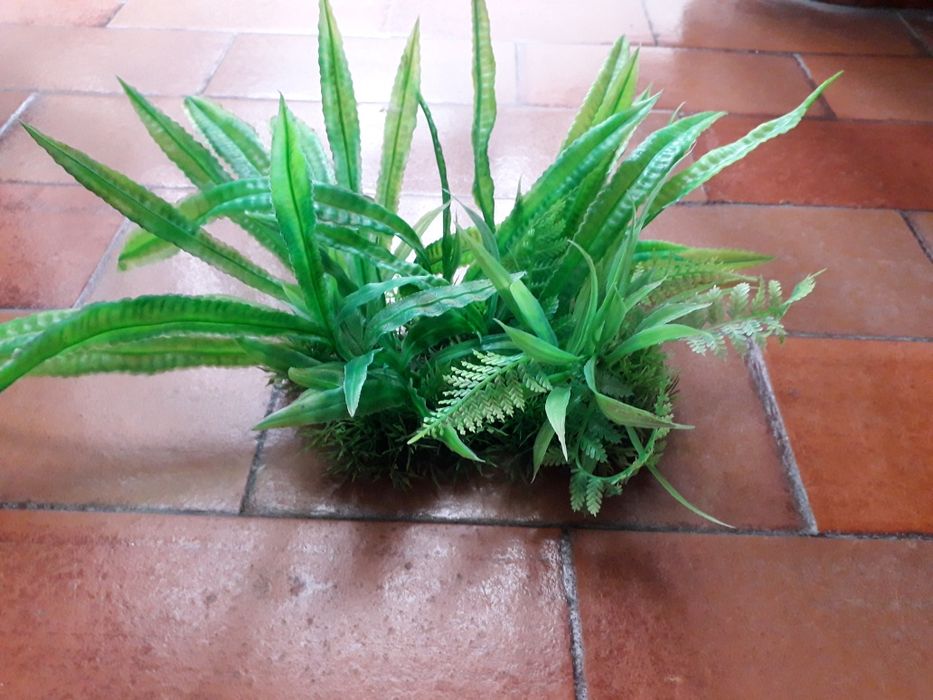 Decoração de Aquário