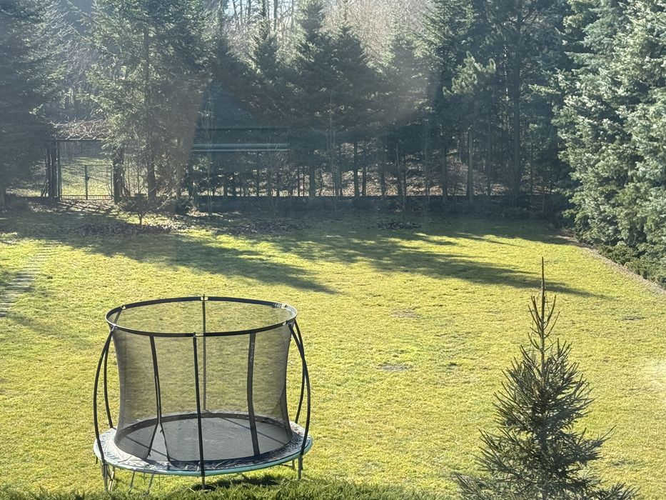 Prace ogrodowe, grabienie liści itp.