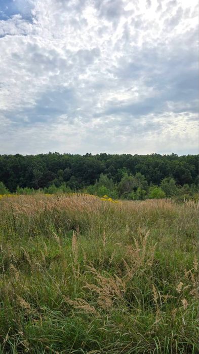 Продаж земельної ділянки, с. Грабник (10 км до Львова)