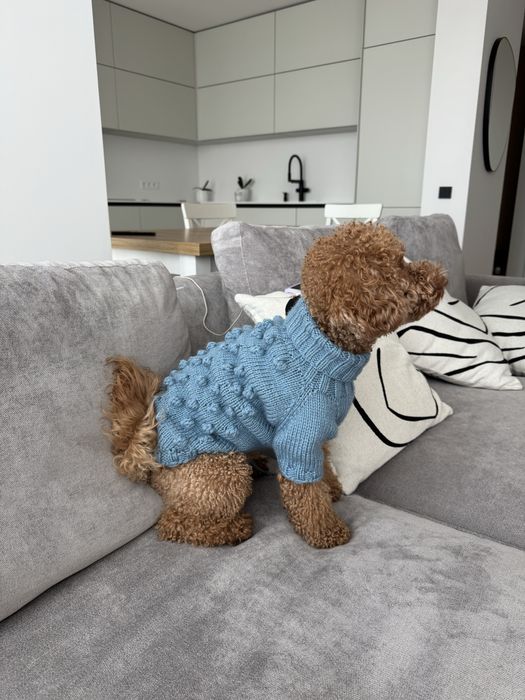 Светр/одяг для собак/котів