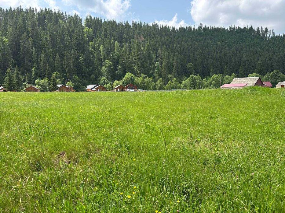 Вигідна пропозиція в першій лінії ділянка в Поляниці поруч з Буковелем