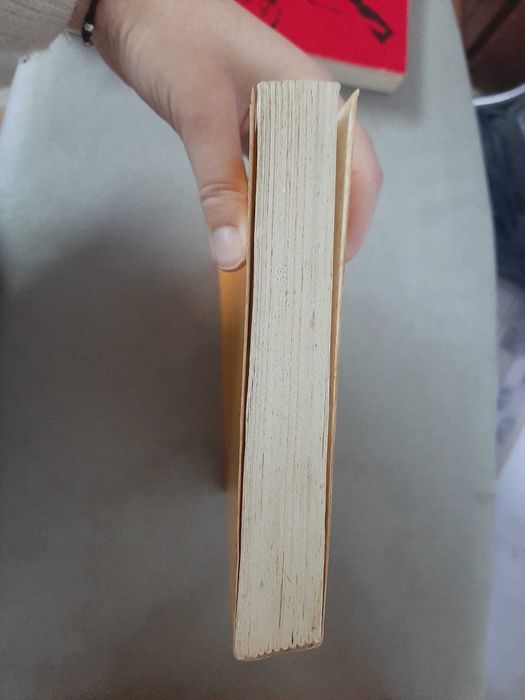 A Haganah: O exército Secreto de Israel de Thierry Nolin