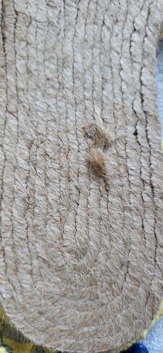 Żółte espadryle nowe rozmiar 36