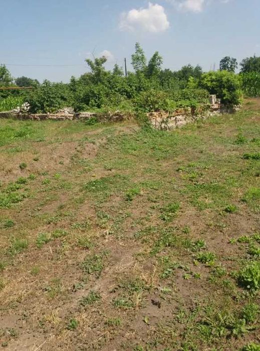 земельна ділянка