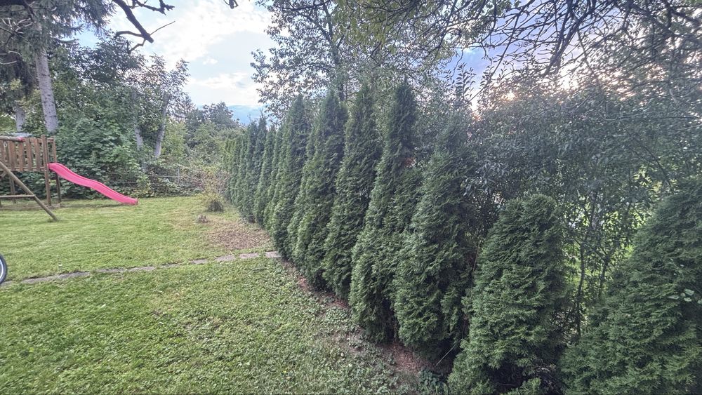 ROD Waszyngtona / Kinowa 490 m² | prąd, woda, WC | duży, zaciszny ogród
