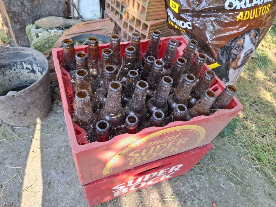 Garrafas de vinho e cerveja