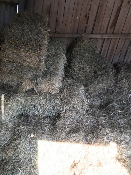Продам сіно, солома в тюках.