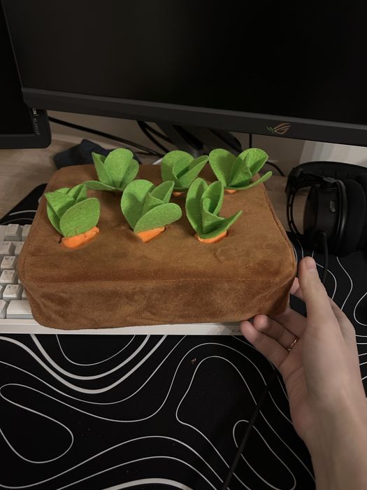 Сортер іграшка морквинки