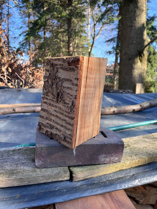 Drewno Czereśnia do wędzenia