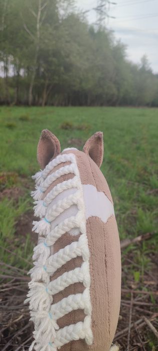 Kucyk hobby horse