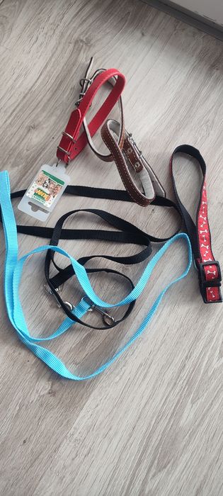 Paski skórzane i 2 smycze dla psa