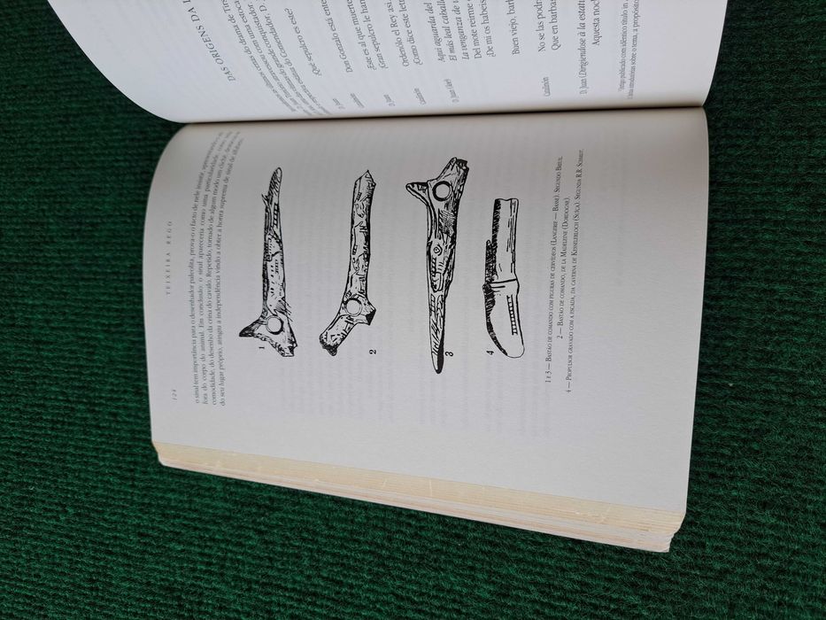 Estudos e Controvérsias (Língua e Lit. Portuguesa) - Teixeira Rego