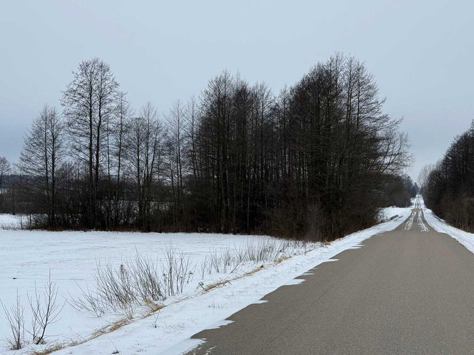 Sprzedam działkę o pow. 0.99ha w Brzozowie Kolonii