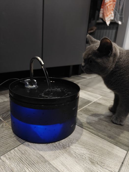 Котячий фонтан GIOTOHUAN 2л з підсвічуванням і тихим насосом