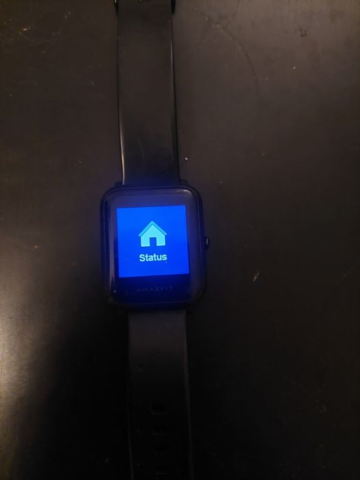 Zegarek Amazfit 1