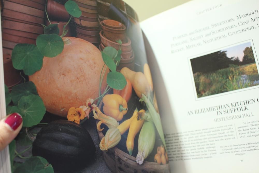 Livro The Gourmet Garden by Geraldene Holt 1990