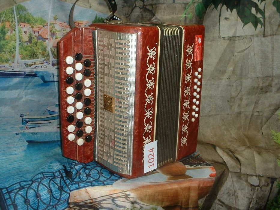Promoção de Acordeões de concertinas