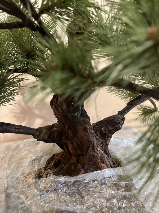 Ялинка  штучна сосна бонсай