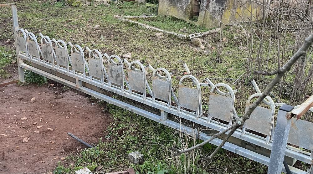 Cornadis de 12 cabeças