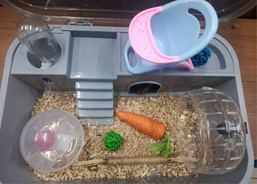 Клетка для хомяка