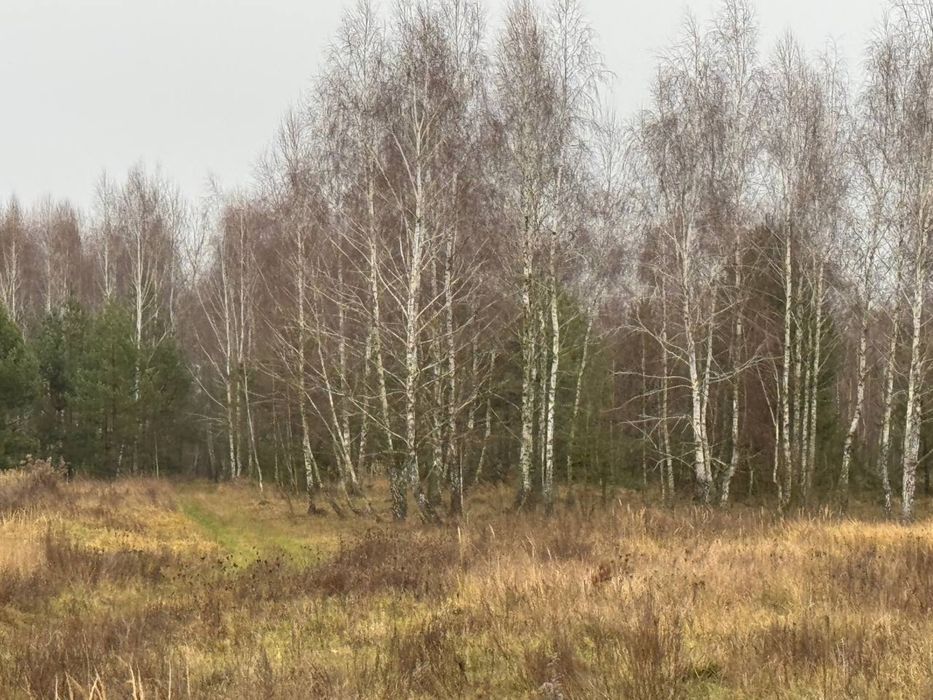 Земельна ділянка 6,9 Га!!! Калинівка !