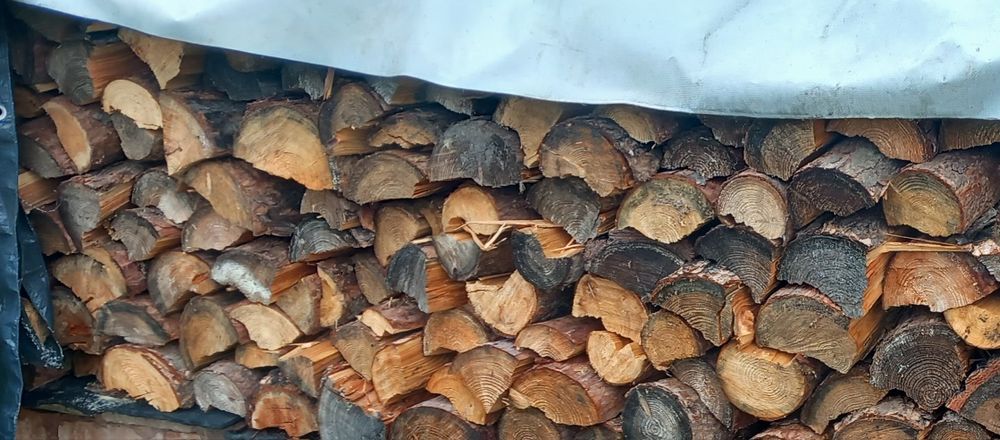 Modrzew opałowy łupany