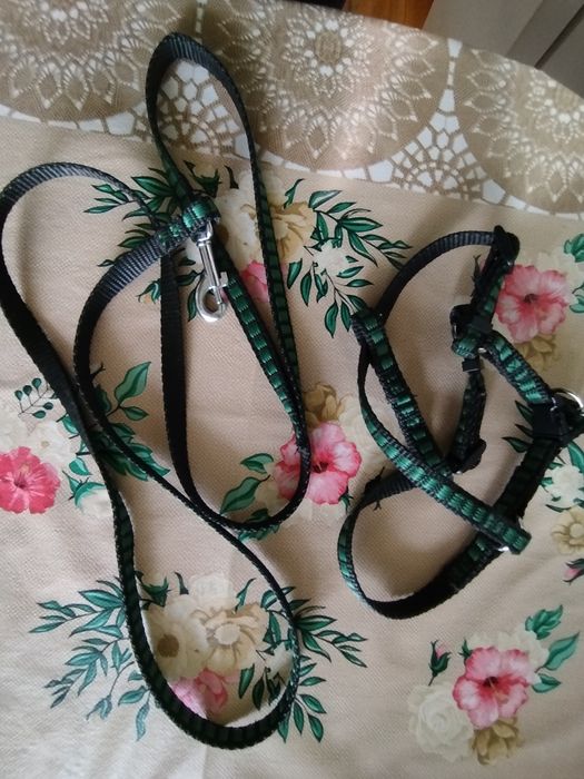 Уздечка і поводок для маленьких породи.