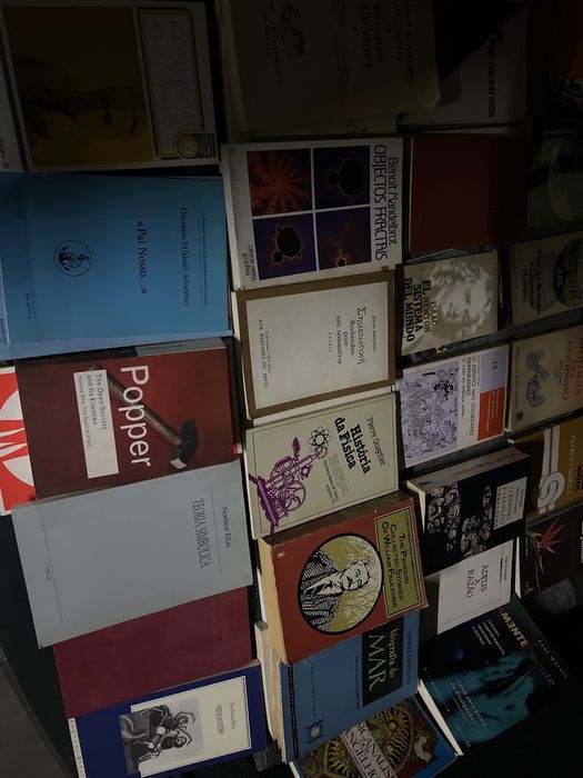 Lote de 40 livros filosofia, política etc
