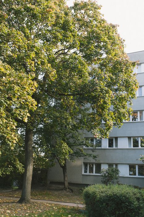 Słoneczne, nieumeblowane 50m na Sadach Żoliborskich