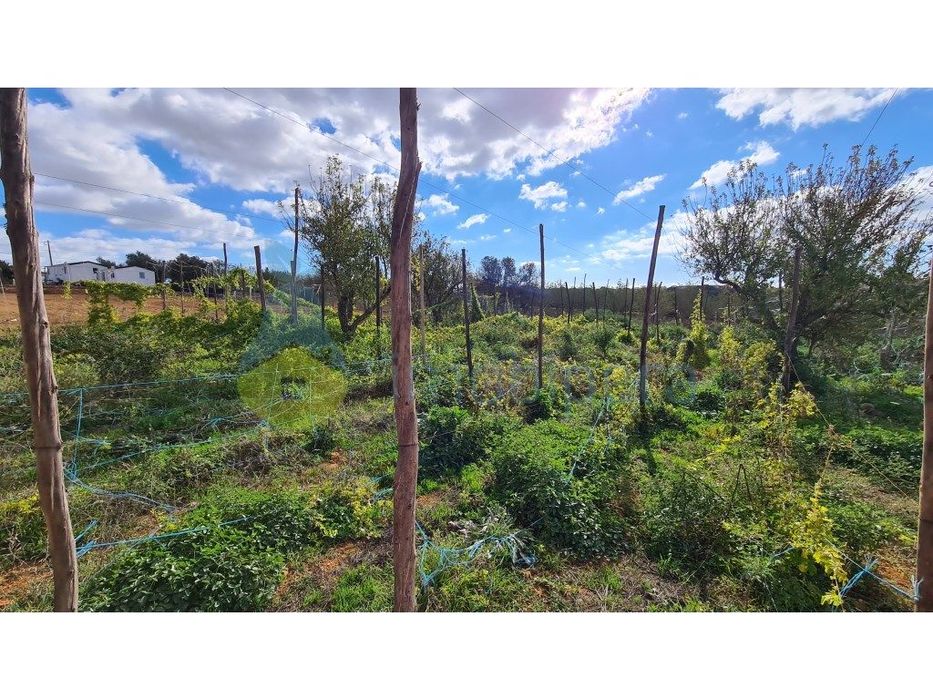 Terreno com 15600m2 em Albufeira, com 10 casinhas amovíveis e com f...