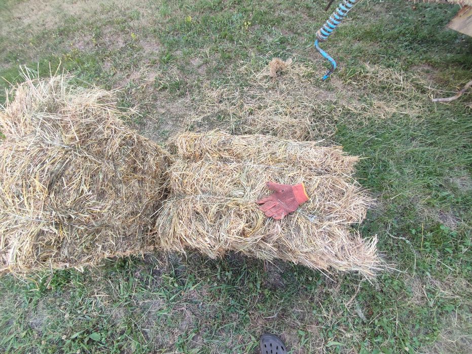 Продам сіно лугове в тюках