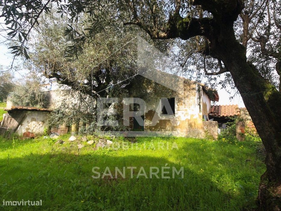 Terreno com cerca de 1 Hectare