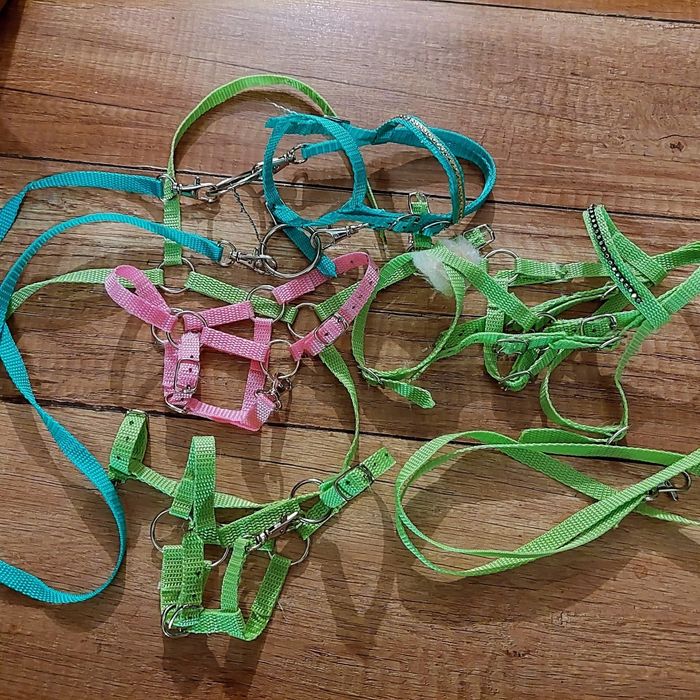 Myster box hobby horse mały