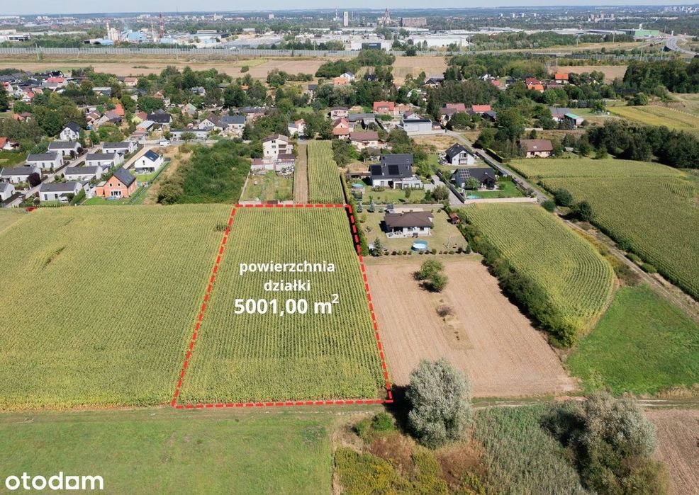 Działka budowlana 5001 m² w Bojkowie