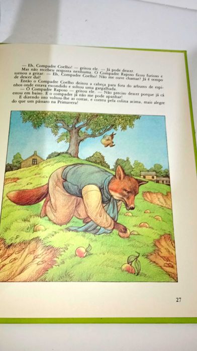 Compadre Coelho - Verbo