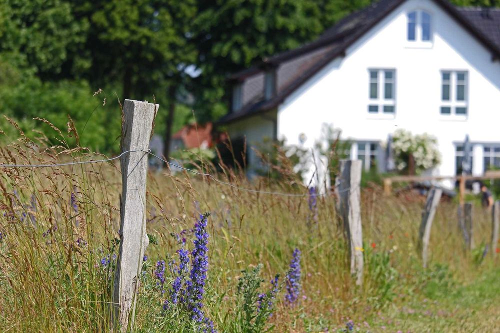 Sprzedam działkę budowlaną blisko jeziora - Widok 3
