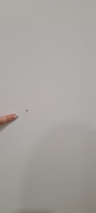 Porta sem aro branca e sem ferragens