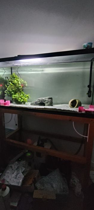 Aquário de 200L com estrutura
