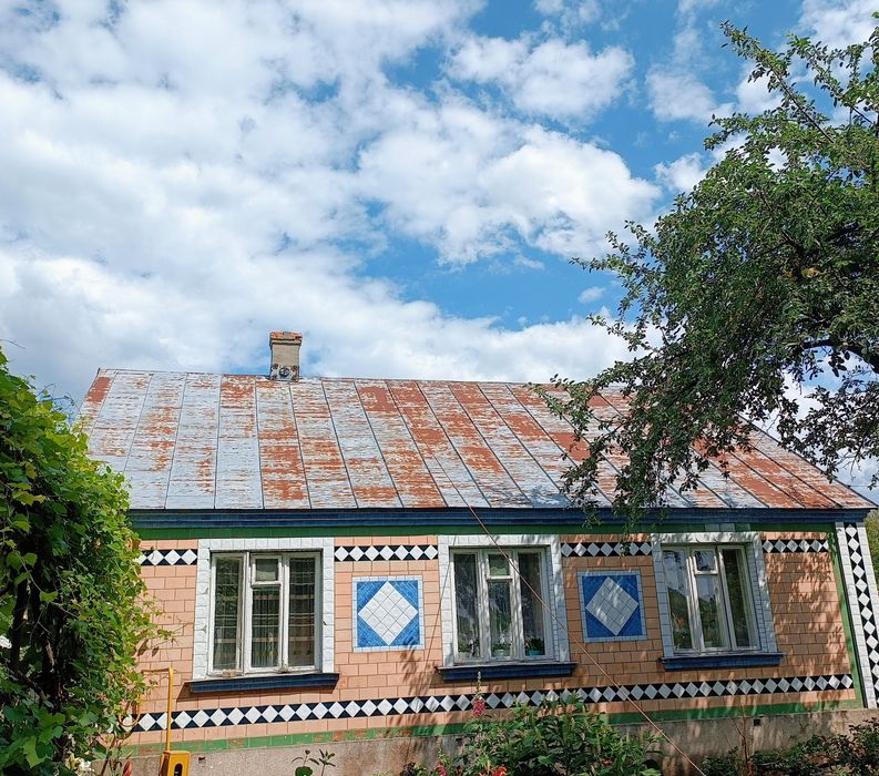 Фарбування дахів