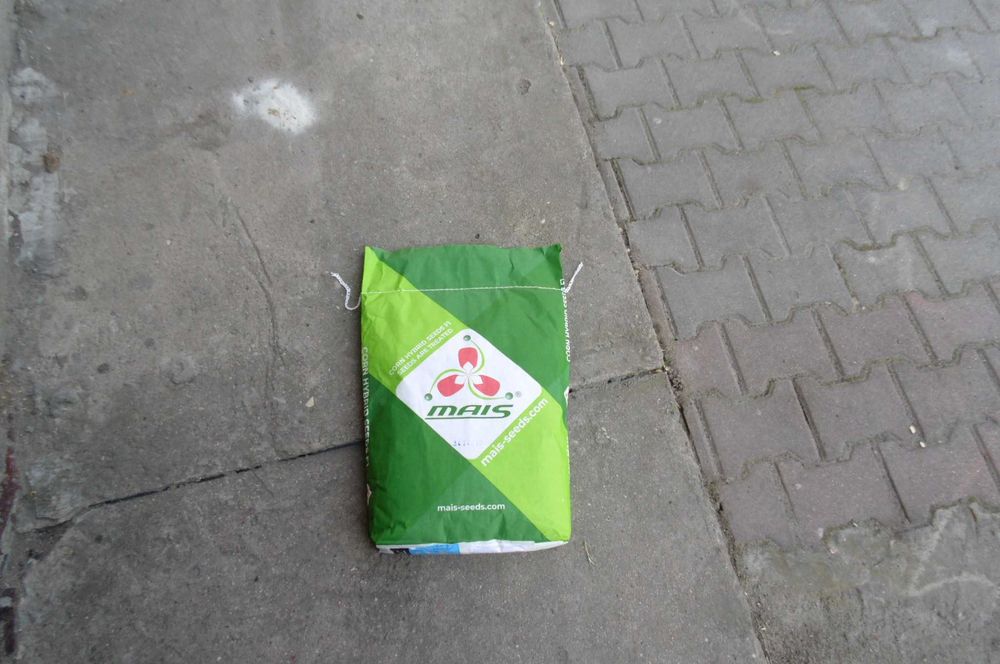 Kukurydza ziarno do siewu 20 tys ziaren terget f1