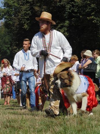 Послуги Кінолога