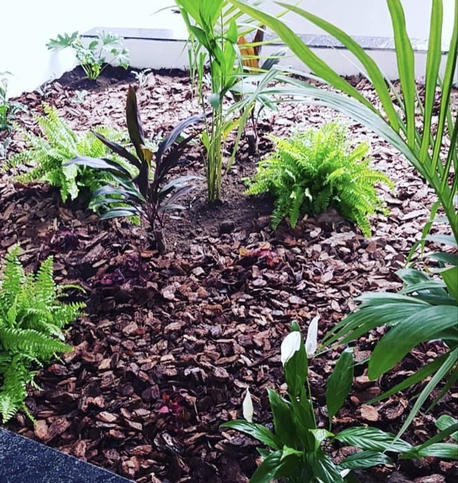 Serviço profissional de jardim