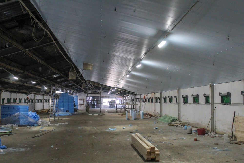 Płyta Izolacyjna Styrodur XPS AGRO Ocieplenie Obory Kurnika Tuczarni