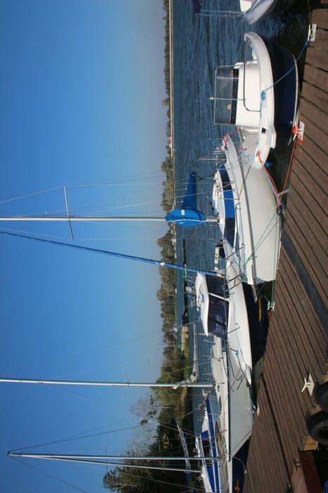 Domek w sosnach - Leśny Zakątek