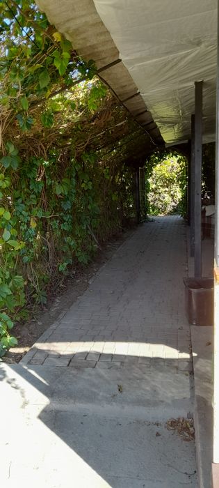 Дом с бассейном.