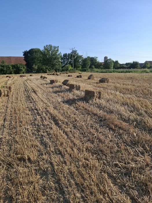 Sprzedam słomę  zbiór 2025r.