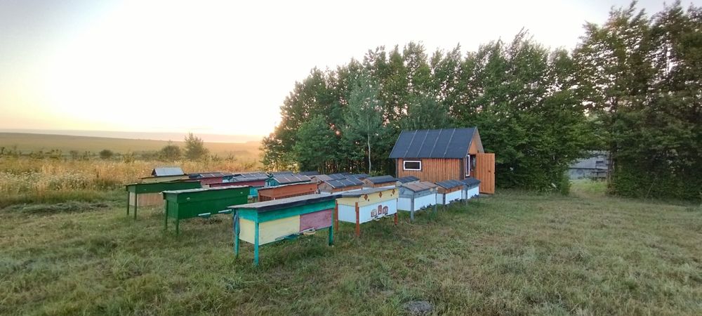 Продам апі хатинку і вулики