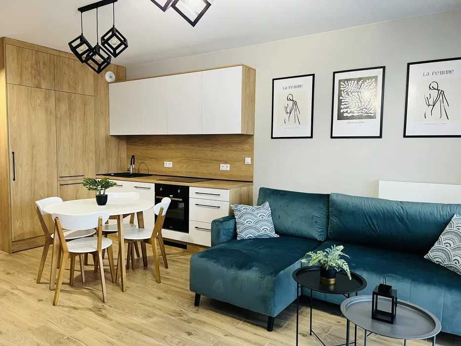 Komfortowy Apartament 1 pok, 30 m, Fa VAT, Centrum, ul. Garbary 5, przy WSG, Wyspie Młyńskiej, Bezpośrednio