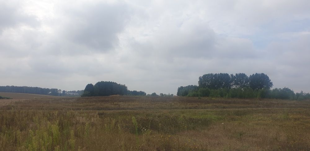 Ujazd k. Kiszkowa – działka rolna 3239 m²